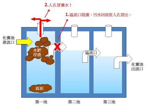 化糞池構造